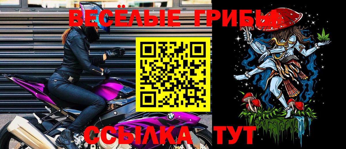 Псилоцибиновые грибы мицелий Тайшет