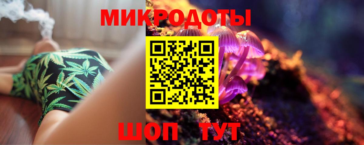 Галлюциногенные грибы Magic Shrooms  наркотики  Тайшет  Вход с VPN  Галлюциногенные грибы Psilocybe 